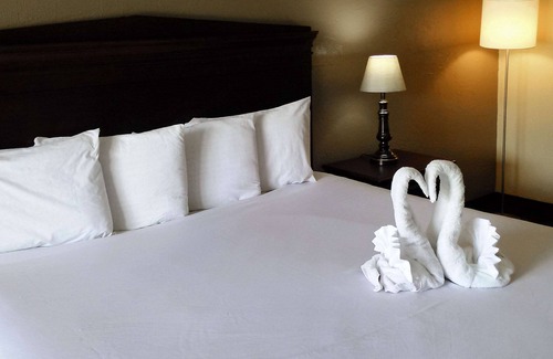 National Gardens Hotel | Budget-Friendly Stay at Econo Lodge with Pool & Spa Access