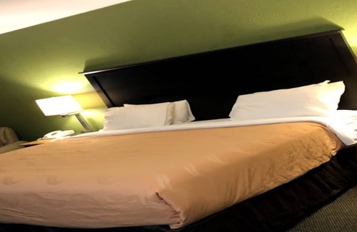 Wesley Chapel Hotel | Budget-Friendly Econo Lodge with Pool & Breakfast Options