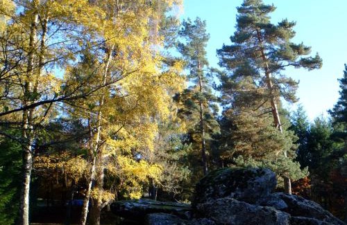 Saint-Yrieix-le-Dejalat Hotel | Pet-Friendly Ecoparc Des Monédières with Great Amenities