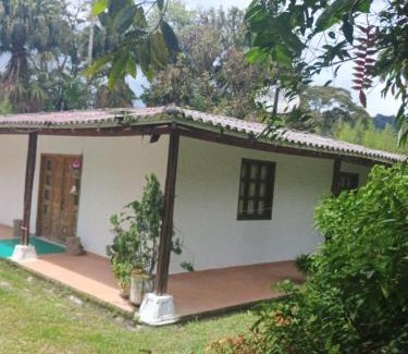Dagua House | Discover Ecopolis Finca: A Pet-Friendly Retreat