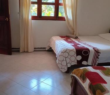 Dagua House | Discover Ecopolis Finca: A Pet-Friendly Retreat