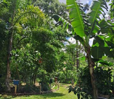 Sao Lourenco do Oeste House | EcoPousada - Sitio Aborigene: Top Rated for Family & Pets