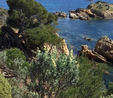 Le Lavandou Apartment | Tranquil Retreat at Ecrin de Verdure - Guest Rated 9.2