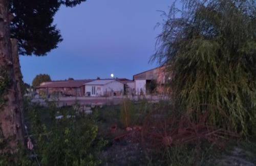 Pont Royal House | Ecurie Le Pas du Loup