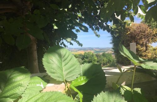 Cartoceto Bed & Breakfast | Discover Eden Lilli B&B: Pet-Friendly Retreat with Hot Tub