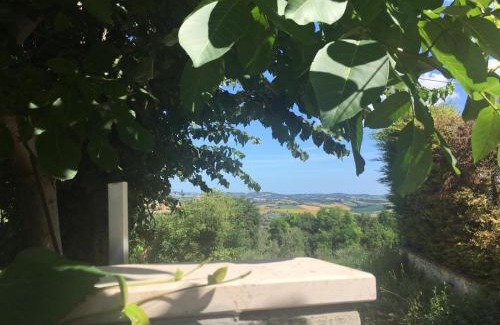 Cartoceto Bed & Breakfast | Discover Eden Lilli B&B: Pet-Friendly Retreat with Hot Tub