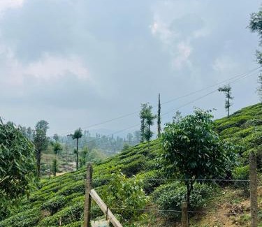 Valparai Hotel | Elegant Edenvilla: Pet-Friendly 5-Star Retreat with Breakfast