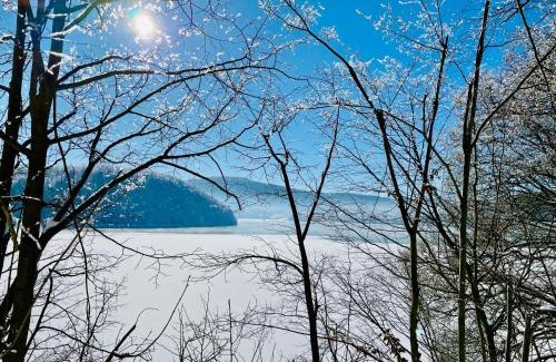 Nieder-Werbe Villa | Oceanfront Edersee-Chalet: Guest Rated 9.9/10 Stay