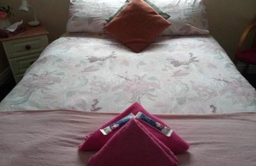 Galway City Centre House | Comfortable Edwards Cosy B&B with Kitchen Amenities