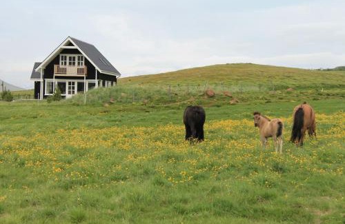 Akureyri House | Experience Efri-Rauðilækur in Hörgársveit, Rated 10/10!