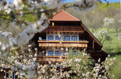 Bad Peterstal-Griesbach Apartment | Experience Ehrenmättlehof: Guest Rated 10/10 Holiday Apartment