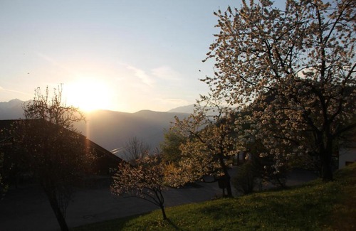 Verano Apartment | Discover Eichernhof Apartment Apfelblüte – Rated 9.3/10