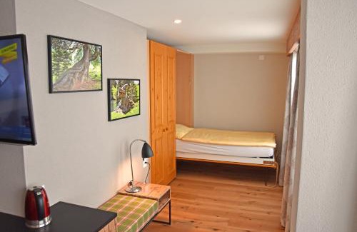 Murren Hotel | Discover the Eiger Mürren Swiss Quality Hotel with Spa & Pool