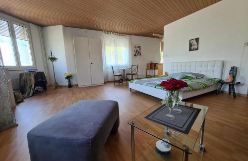 Monbijou Apartment | Family-Friendly Eigerplatz: Guest Rated 9.2/10!