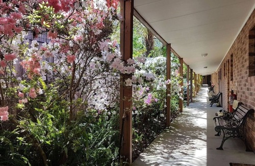 Eildon Hotel | Discover Eildon Parkview Motor Inn: Family-Friendly Stay