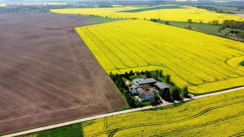 Schonfeld House | Relax at Ein Bett im Kornfeld - Haus Weitblick with Pool