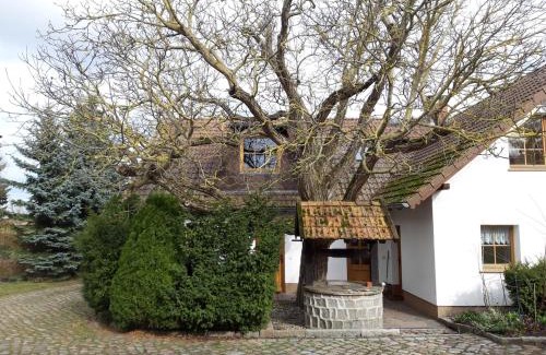 Schonfeld Apartment | Relax by the Ocean at Ein Bett im Kornfeld - Haus Fernweh