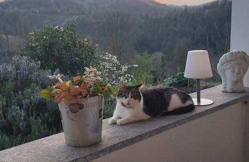 Odalengo Grande Apartment | Pet-Friendly Paradise in Piedmont with Pool and Spa Access