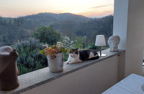 Odalengo Grande Apartment | Pet-Friendly Paradise in Piedmont with Pool and Spa Access