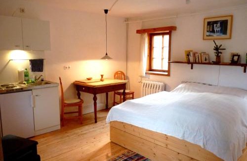 Hinterhermsdorf Apartment | Tranquil Retreat Surrounded by Nature's Beauty