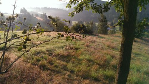 Hinterhermsdorf Apartment | Tranquil Retreat Surrounded by Nature's Beauty