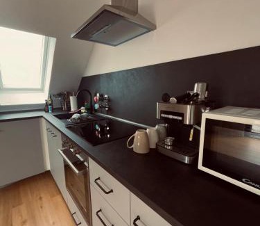 Edingen-Neckarhausen Apartment | Impressive Group and Contractor Loft with Pet-Friendly Perks