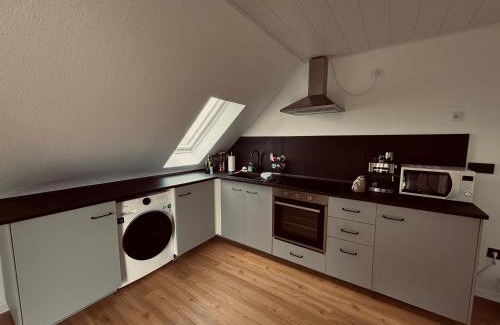 Edingen-Neckarhausen Apartment | Impressive Group and Contractor Loft with Pet-Friendly Perks
