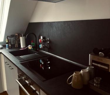 Edingen-Neckarhausen Apartment | Impressive Group and Contractor Loft with Pet-Friendly Perks