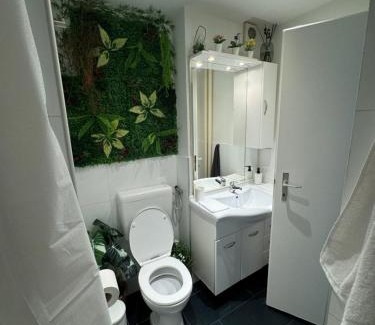 Basel City Centre Apartment | Elegant Apartment Near Messeplatz, Pet and Child Friendly