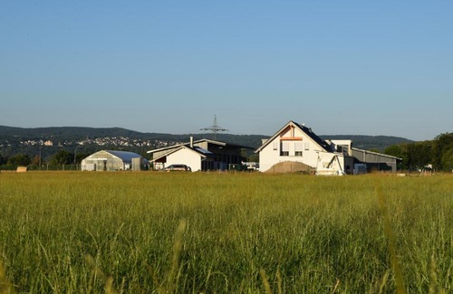 Sinzig Apartment | Family-Friendly Retreat on a Farm in Sinzig with Kitchen