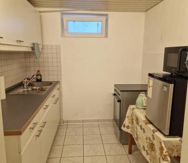 Waldshut-Tiengen Apartment | Einliegerwohnung mit 2 Zimmern, Badezimmer, küche