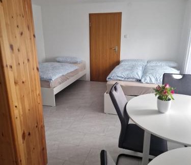 Waldshut-Tiengen Apartment | Einliegerwohnung mit 2 Zimmern, Badezimmer, küche