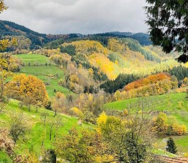 Ottenhofen im Schwarzwald Apartment | Unique Nature Retreat Apartment with Child-Friendly Amenities