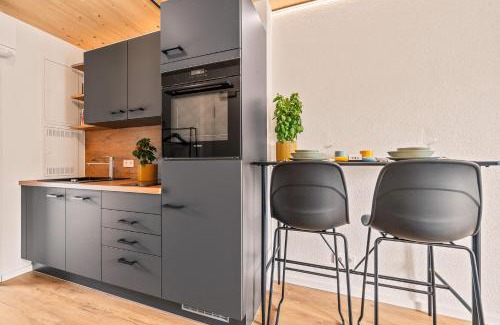 Friedrichshafen Apartment | Comfortable Einzimmer Wohlfühlapartment VIER with AC
