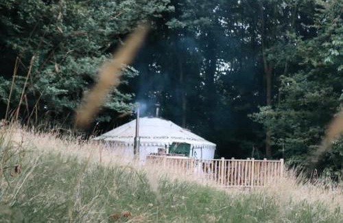 Coxwold Other | Pet-Friendly Eisa Yurt: Guest Rated 9.8/10 for Comfort