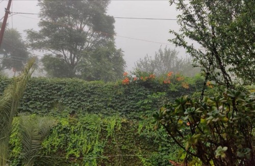 Solan House | Welcoming Ekant Villa: Ideal for Families and Pets
