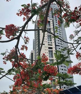 Eko Atlantic Apartment | Eko Atlantic apartment