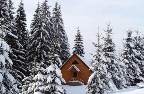 Roztoky Resort | Discover Eko-kurort Khutir Tyhyi: Pet-Friendly Retreat
