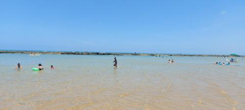 Porto de Galinhas Apartment | Pet-Friendly Ekoara Residence with Ocean Views in Porto de Galinhas
