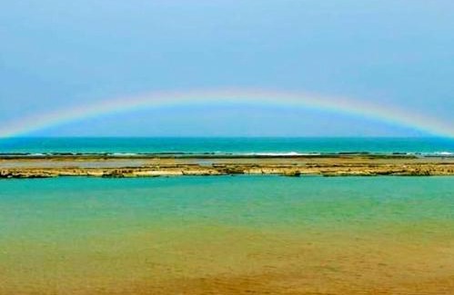 Porto de Galinhas Apartment | Pet-Friendly Ekoara Residence with Ocean Views in Porto de Galinhas