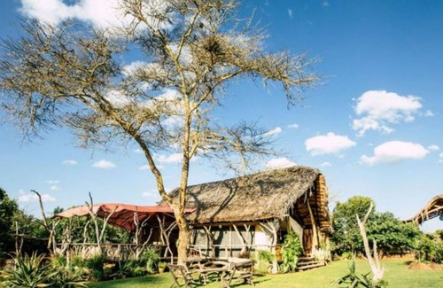 Nanyuki Hotel | Discover Ekorian's Mugie Camp: Family-Friendly Retreat