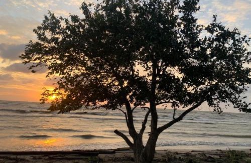 Turbo House | Budget-Friendly EL ABRAZO: Pet Friendly Getaway Awaits