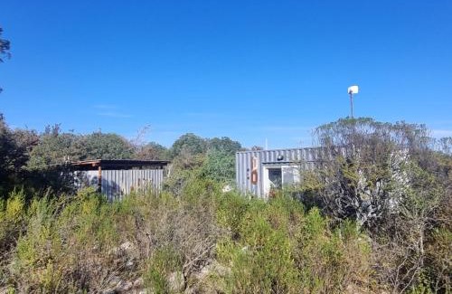 Las Rosas House | Pet-Friendly Getaway at EL ANÍMICO Container Hotel