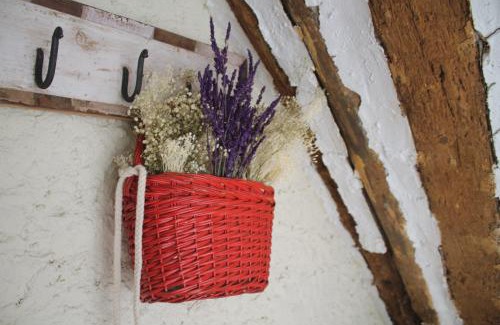 Cardona Apartment | Discover El Baluard: Family-Friendly Retreat with Pool