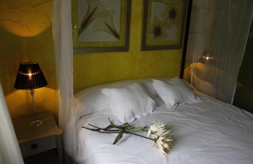Selores Hotel | Discover El Bosque de La Anjana: Family-Friendly Retreat