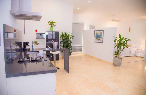 Barrio Centro Apartment | Experience El Cactus Apartments in the Historic Center