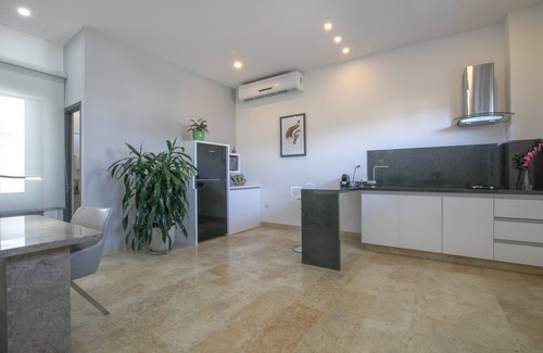 Barrio Centro Apartment | Experience El Cactus Apartments in the Historic Center