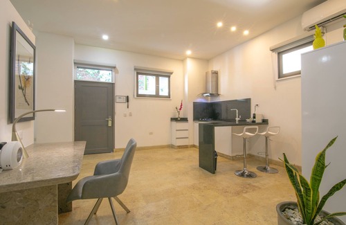 Barrio Centro Apartment | Experience El Cactus Apartments in the Historic Center