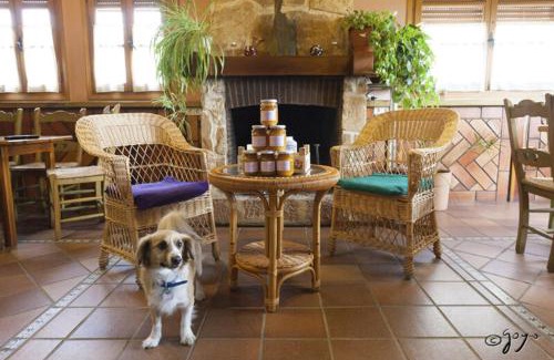 Villovela de Piron House | Experience El Camino Real: Pet-Friendly with Breakfast