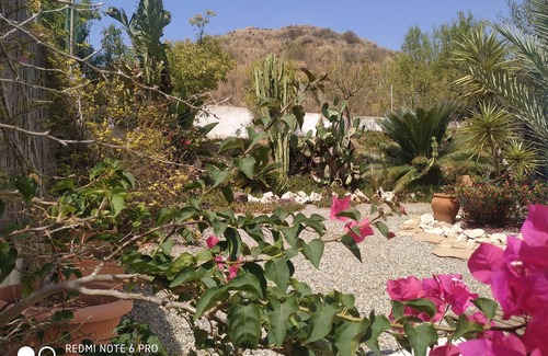 Nijar House | Pet-Friendly El Cerrito: Ideal Independent Houses for 4